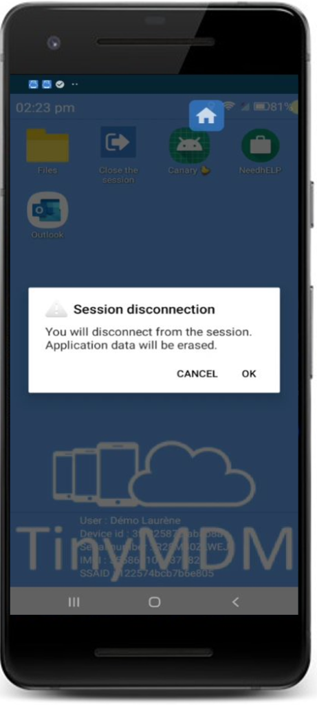 session disconnection lock task mode