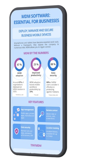 infographic mdm essential for businesses
